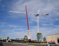 Tower Crane Erection & Dismantle